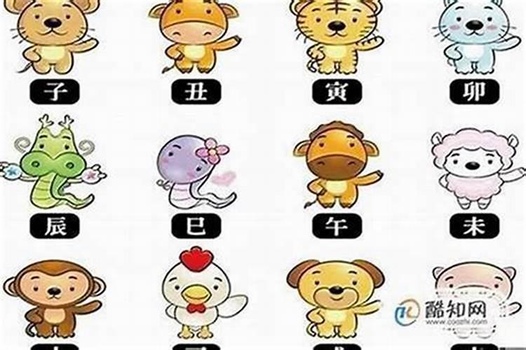 12生肖最佳老公排行榜