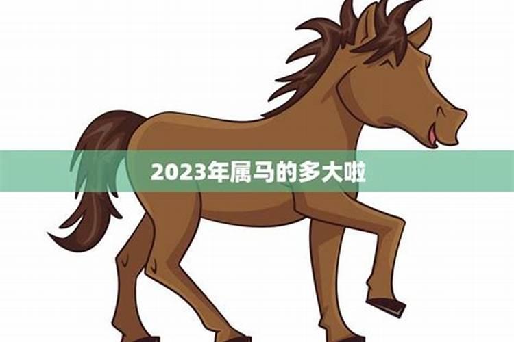 2023年属马的多大年龄