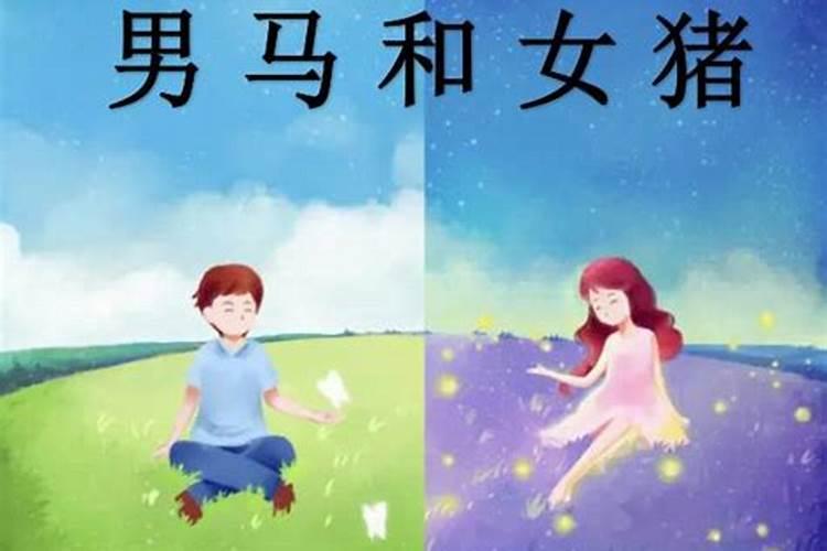 生肖男马和女鸡相配吗