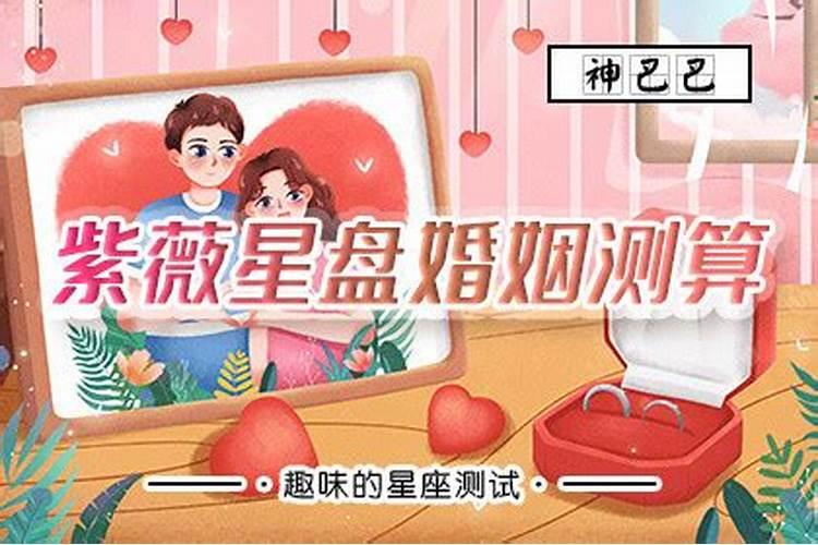 紫微婚姻宫测试