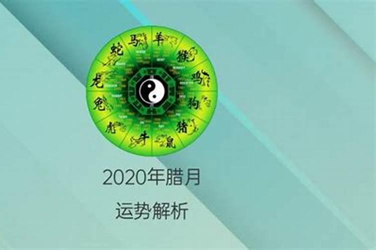 2020农历腊月生小孩