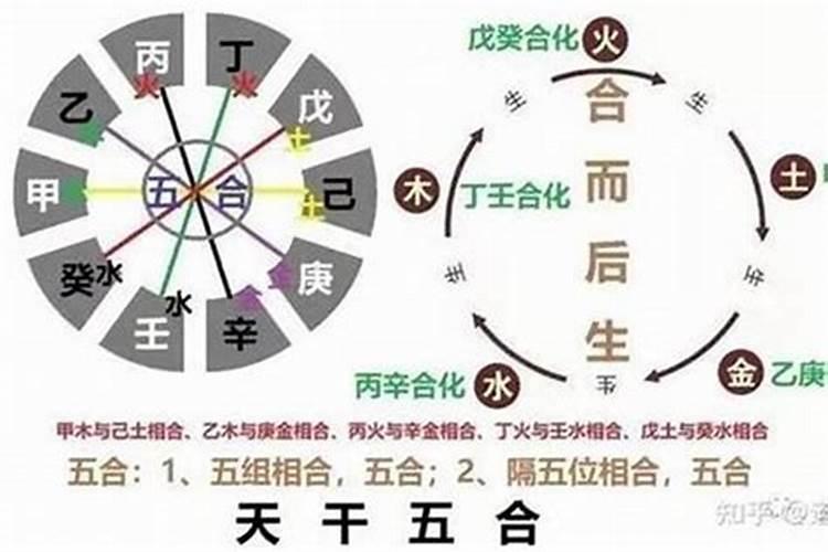 八字天干地支两两相合代表什么