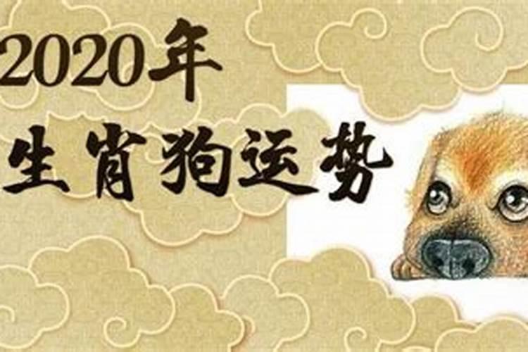 82属狗十年运势如何