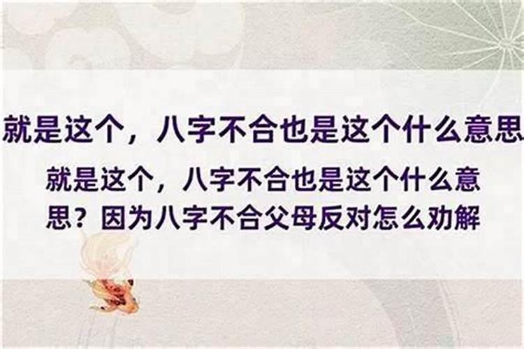 女方父母算八字不合