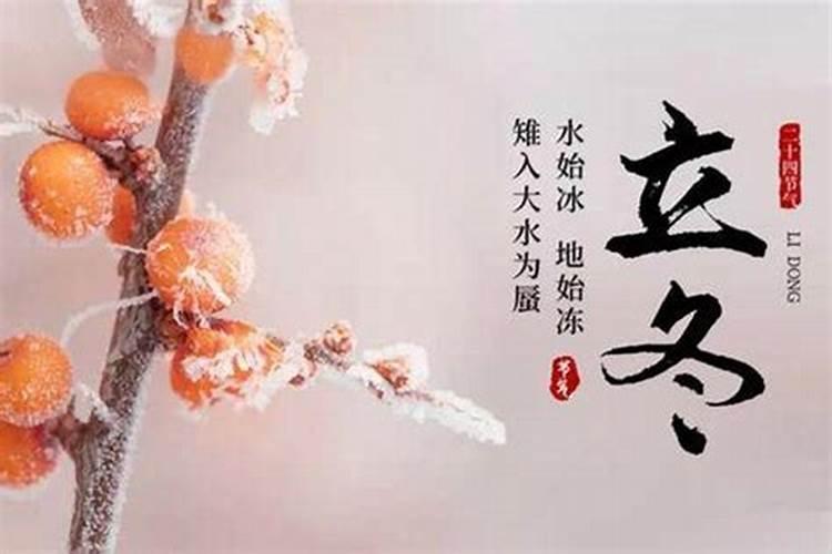 哪一年立冬的时候下过雪