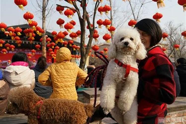 正月初五对应的动物是什么