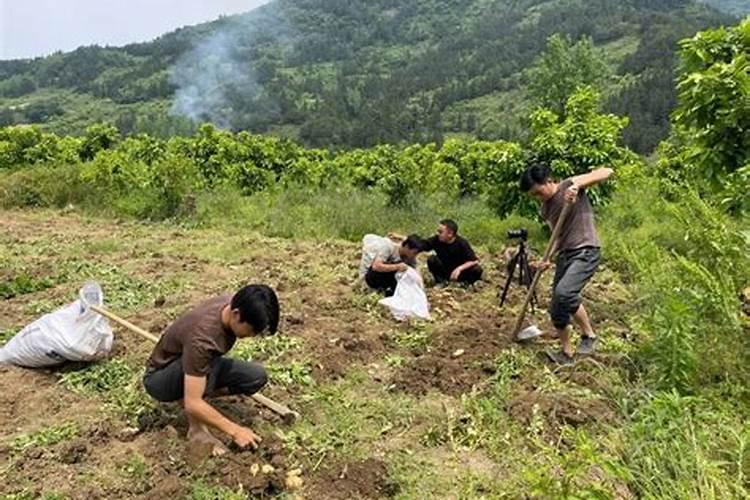 梦见回到老家和村里人在一起玩