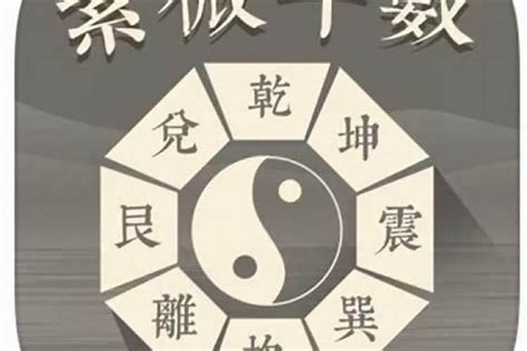 八字和紫微结果不太一样