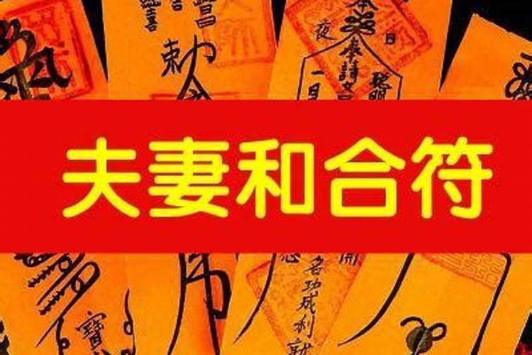 属兔人怎样提升财运和运气和财运