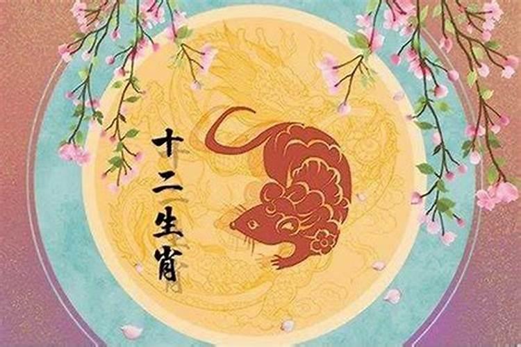 鼠年今年十二生肖运势