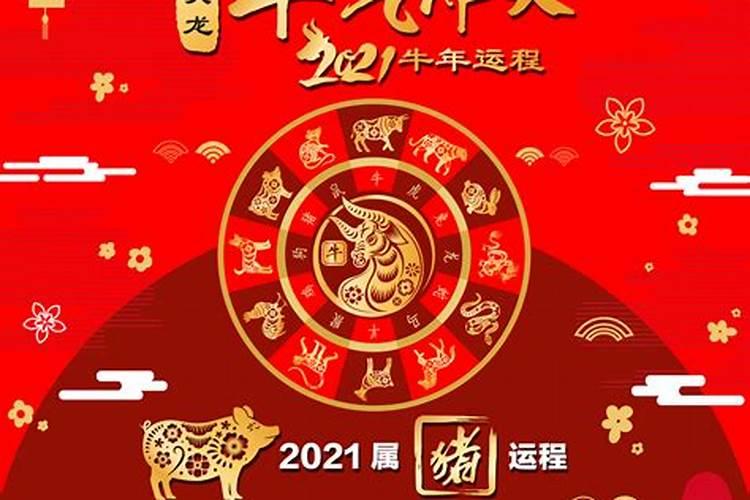 属猪运势2021运势详解