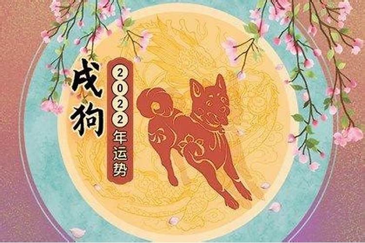 属狗鼠年运势2021年运程