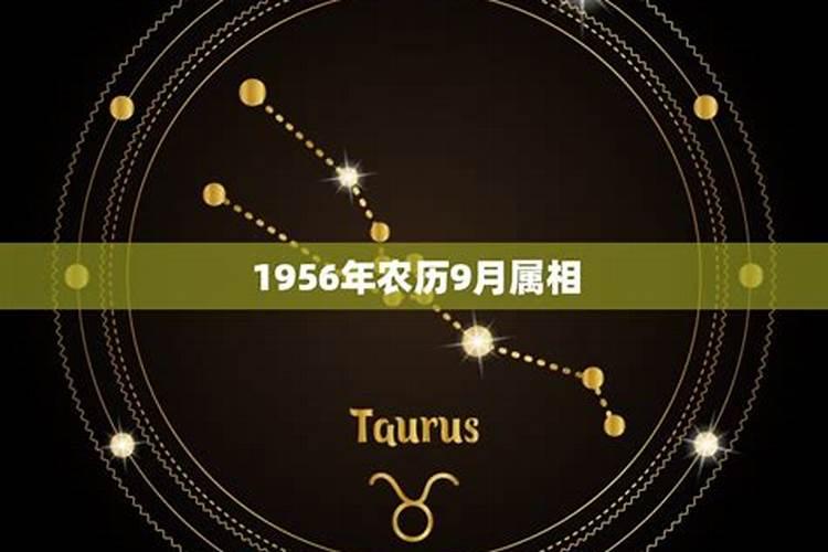 1963年5月属什么