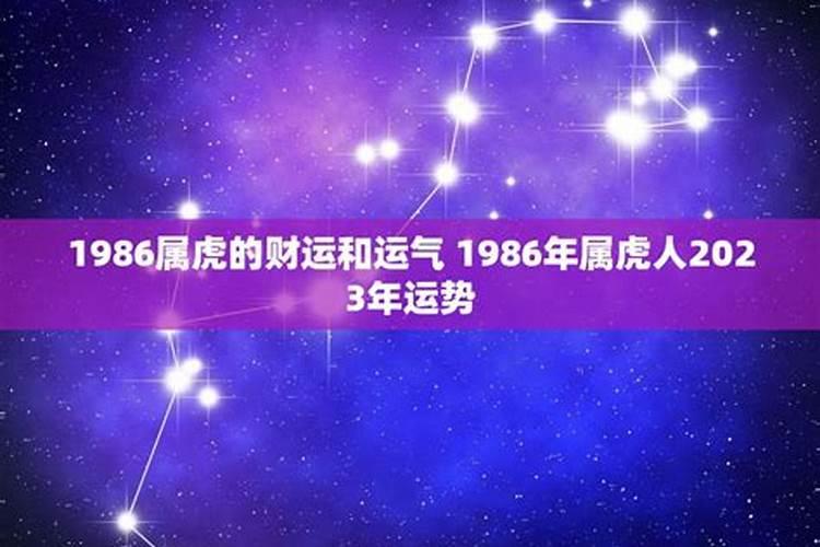 1986年十二生肖运势如何