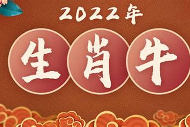 97年生肖牛2022年运势