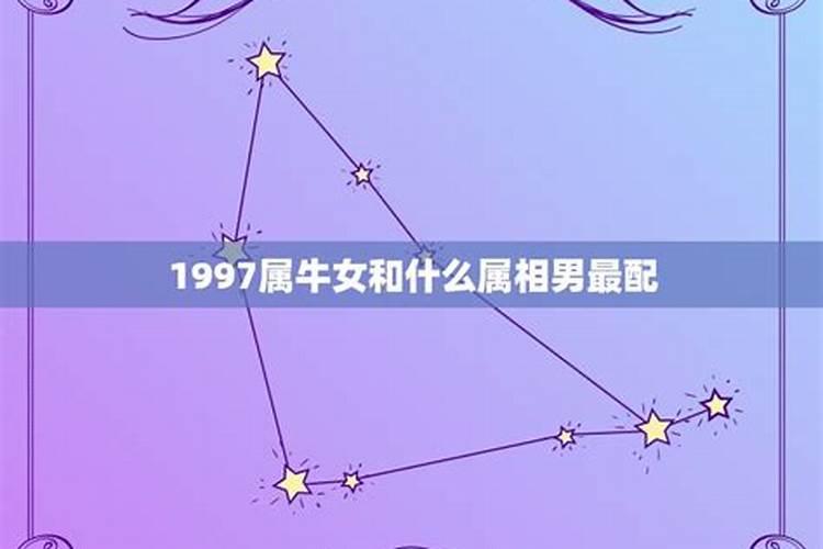 1997年属牛男和什么属相最配婚姻