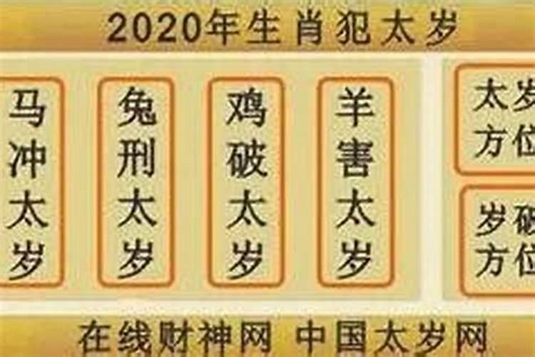 2023属牛的全年运势如何看