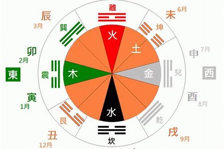 怎么算自己天干地支的五行属性