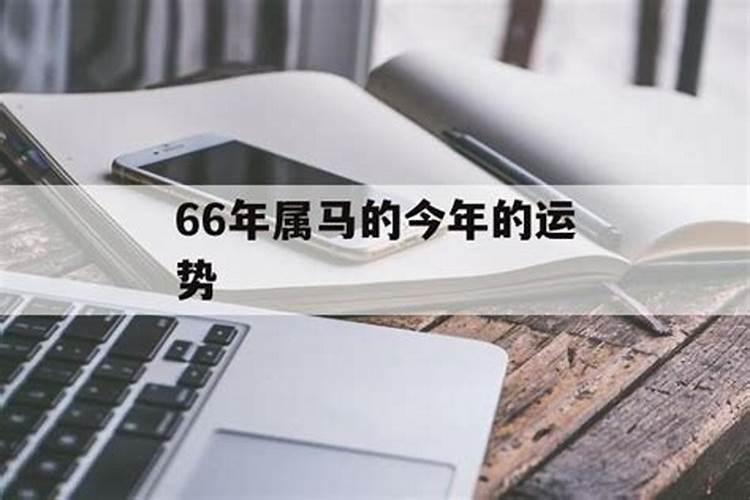 66年属马人202o年运势运程