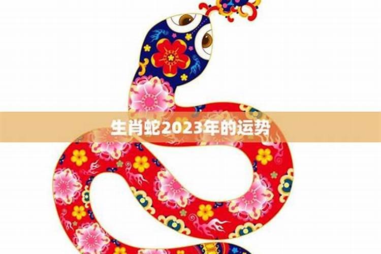 属蛇运势2023年运势如何看婚姻