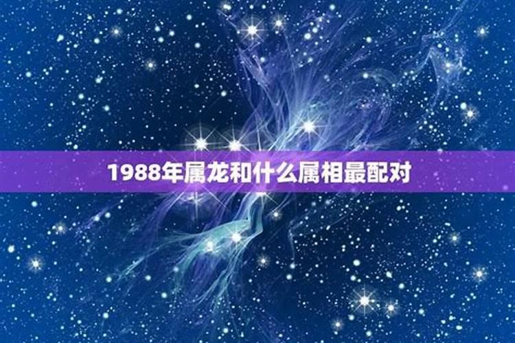 88年属鸡2021年运势及运程每月运程