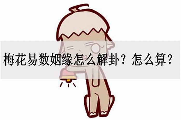 梅花易数姻缘用什么起卦好