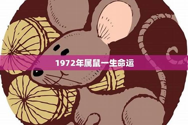 1972年属鼠男一生运程