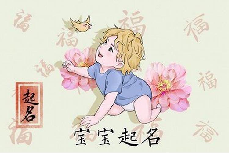 夏至第二天出生的男孩