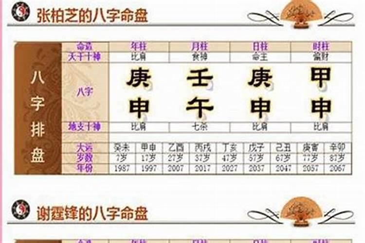 5月份的属蛇