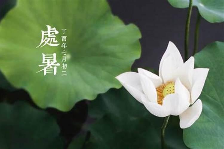 清明节是一年中的第几个节气