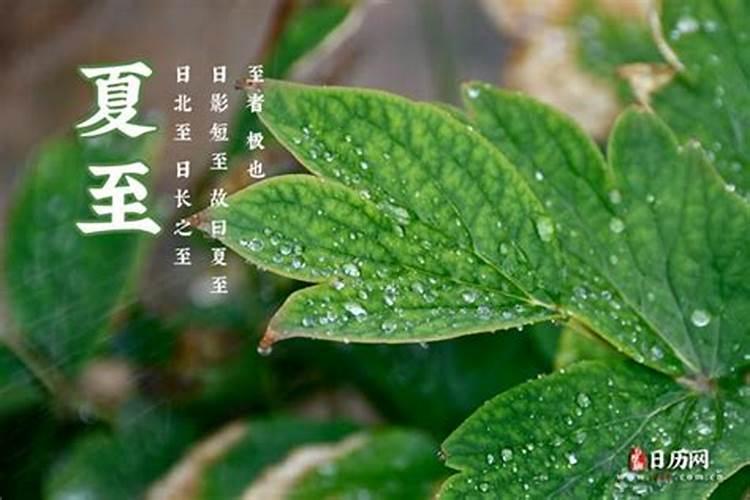 夏至节气是6月几日至几日