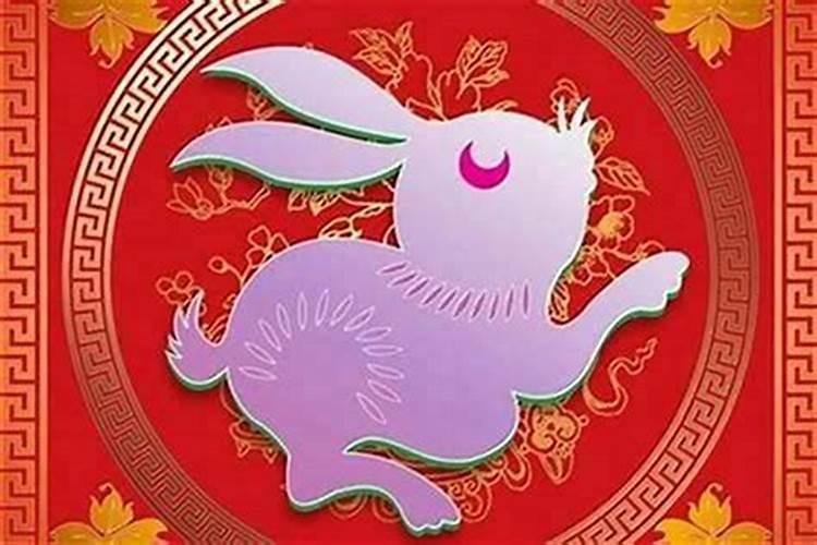 属兔今年12月的运势