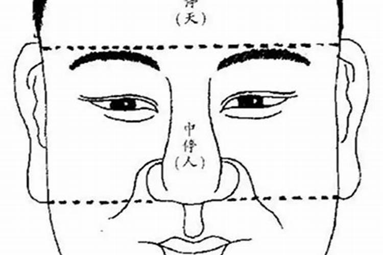 属猪在2022年结婚好吗