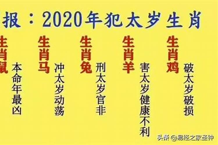 在鼠年犯太岁有哪些生肖呢