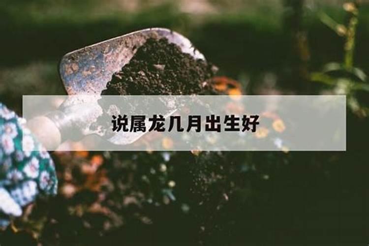 生肖龙腊月生的好坏