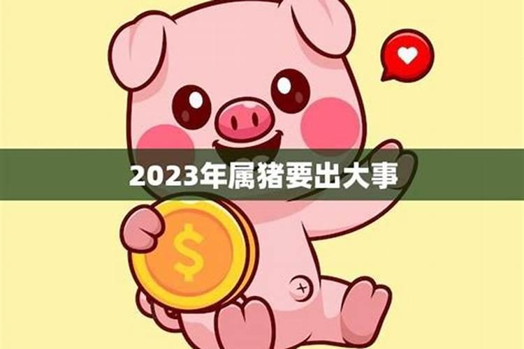 属猪的人今年财运怎么样