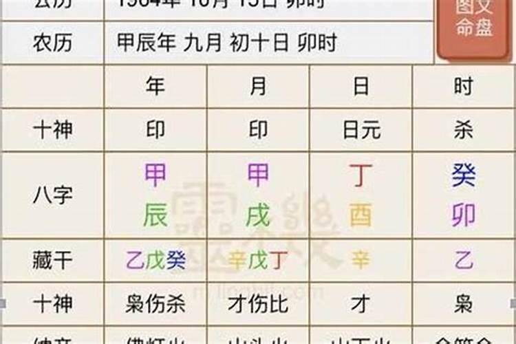 生肖兔今年感情运势