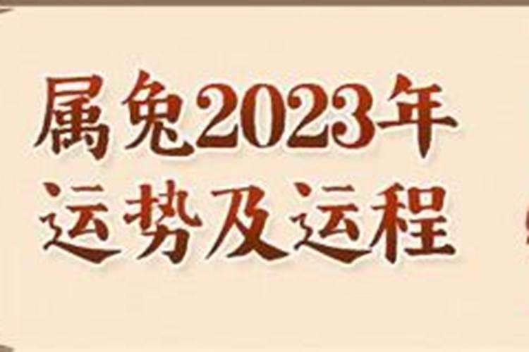 87年属兔2023年的运势