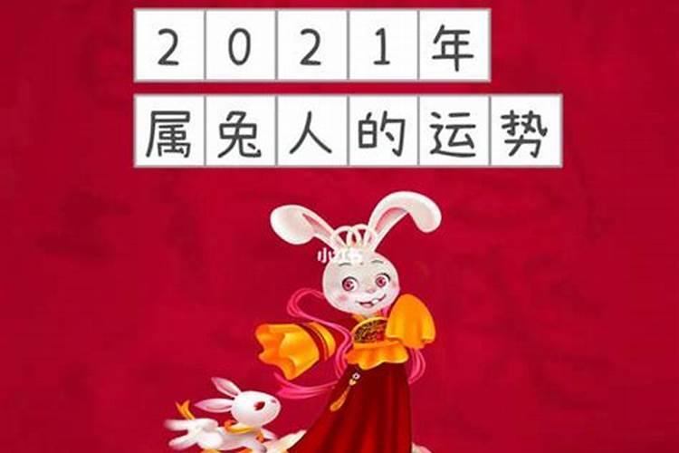 属兔2021年11月