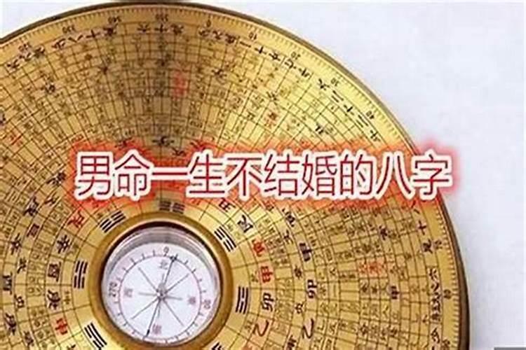 金星合婚神怎么样