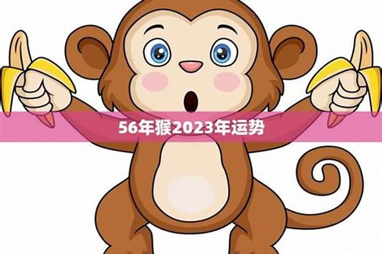 2023猴宝宝的运势如何