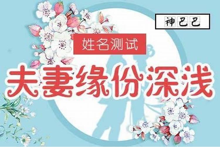 属龙的人2023年运势及运程幸运颜色是什么