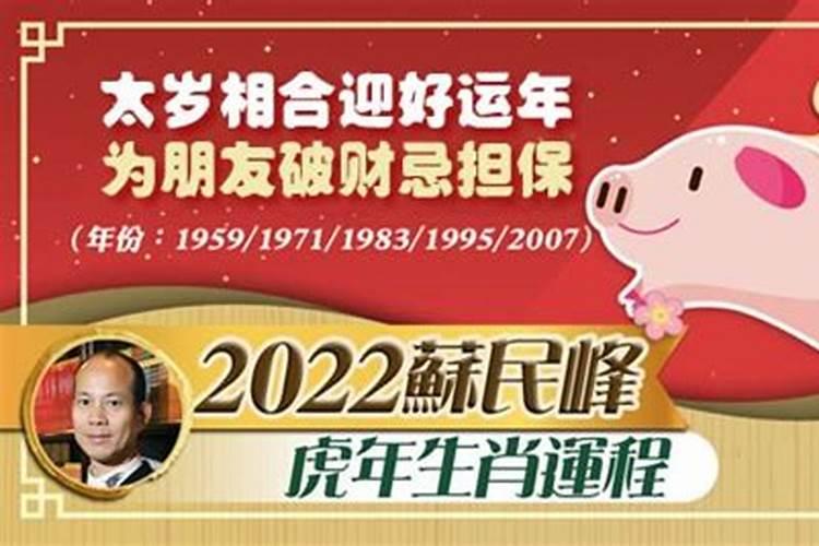 苏民峰2023年猪生肖运势解析