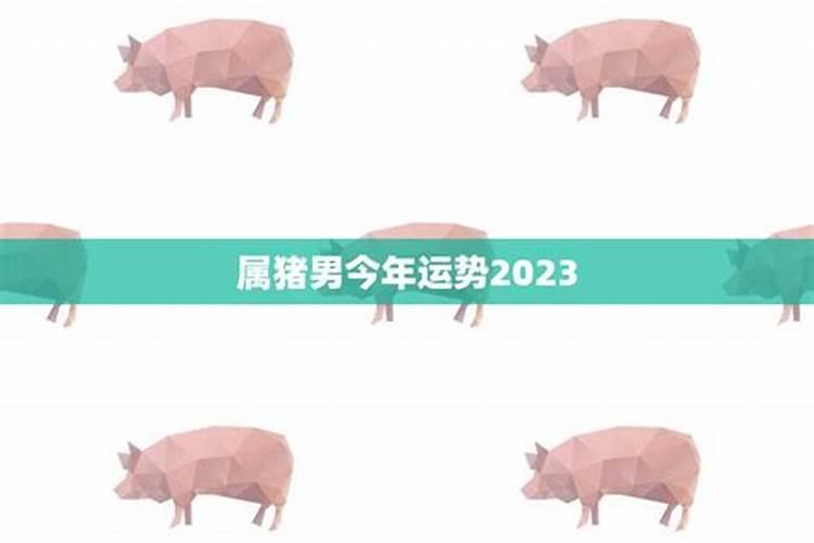 属猪男今年运势2021年运势详解