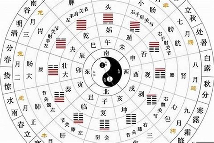 八字里的辛丑是五行的什么