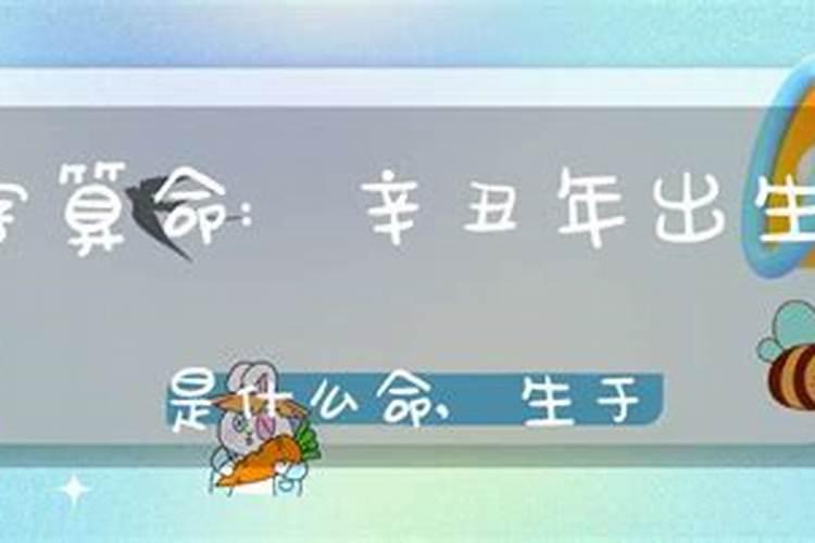 辛丑年生辰八字