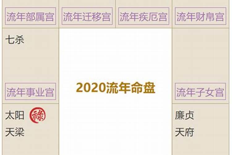 紫微斗数2020运势