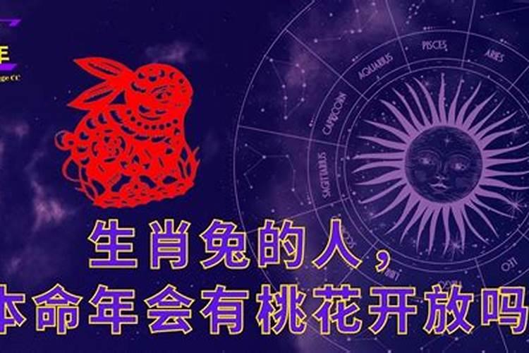 属虎的运势2022年运程详解