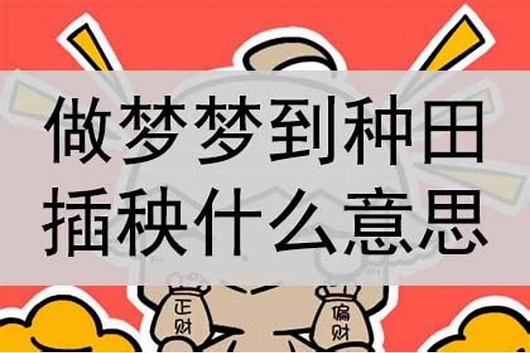 做梦梦见别人种地