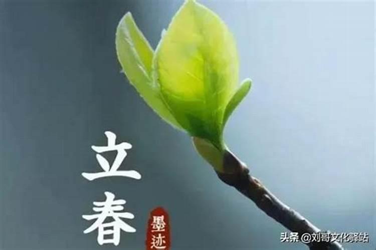 24节气立春的含义是什么